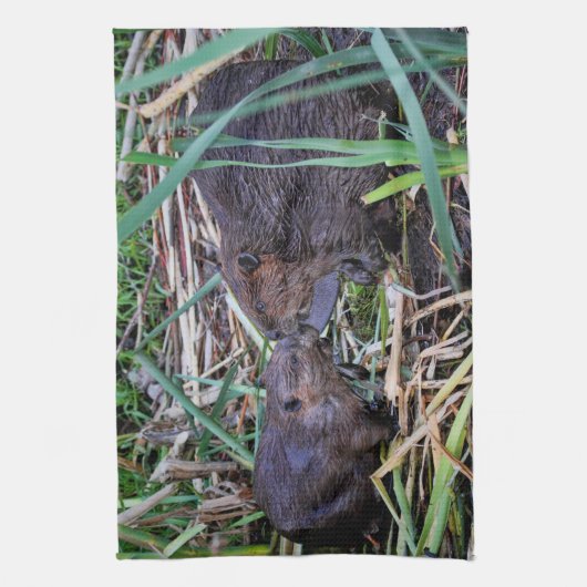 Biber, die Foto küssen Geschirrtuch (Vertikal)