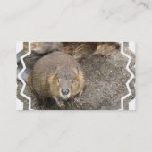 Biber-Entwurfs-Visitenkarte Visitenkarte (Rückseite)