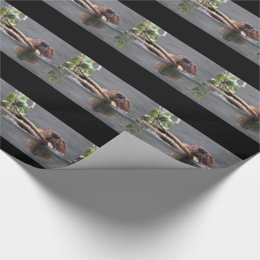 Biber-Funktion Geschenkpapier (Ecke)