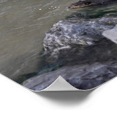 Biber im Ozean, Dauphin Ozean, Alabama Poster (Ecke)