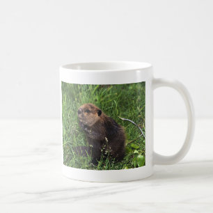 Biber Kaffeetasse