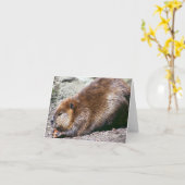 Biber Karte (Gelbe Blume)