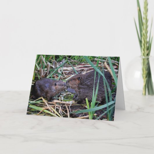 Biber Kissing Foto Karte (Vorderseite)