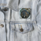 Biber-Lebensraum-Quadrat-Button Button (Beispiel)