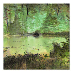 Biber Lodge II: Digitaler Umbau des Waldteichs Fotodruck