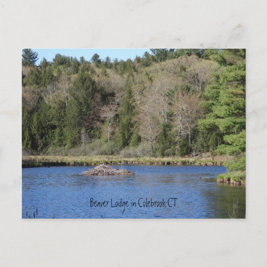 Biber Lodge in COLEBROOK, CT Postkarte (Vorderseite)