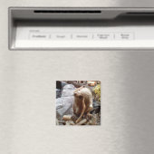 Biber Magnet (In Situ (Geschirrspüler))