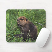 Biber Mousepad (Mit Mouse)