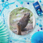 Biber Pappteller (Party)