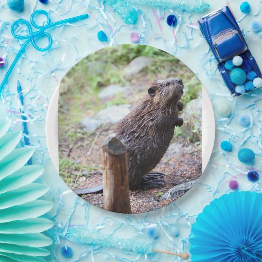 Biber Pappteller (Party)