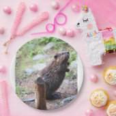 Biber Pappteller (Party)