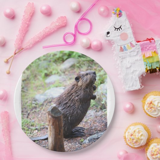 Biber Pappteller (Party)