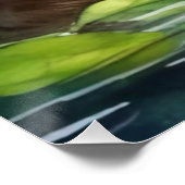 Biber-Poster Poster (Ecke)