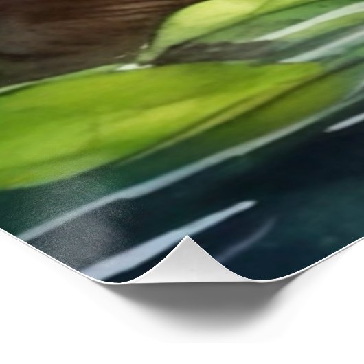 Biber-Poster Poster (Ecke)