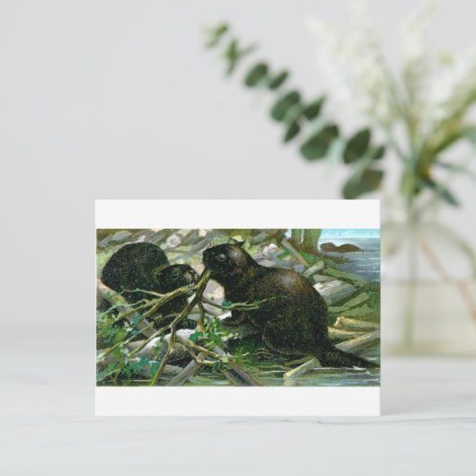 Biber Postkarte (Stehend Vorderseite)