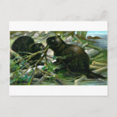 Biber Postkarte (Vorderseite)