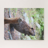 Biber Puzzle (Horizontal)