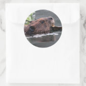 Biber Runder Aufkleber (Tasche)