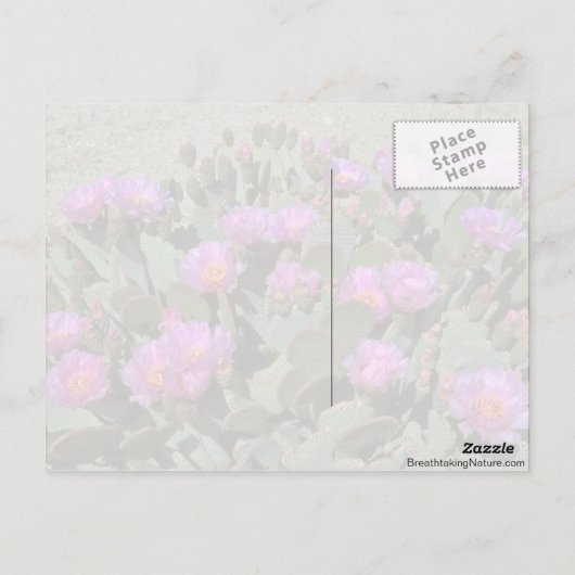 Biber Schwanz Cacti Postkarte (Rückseite)