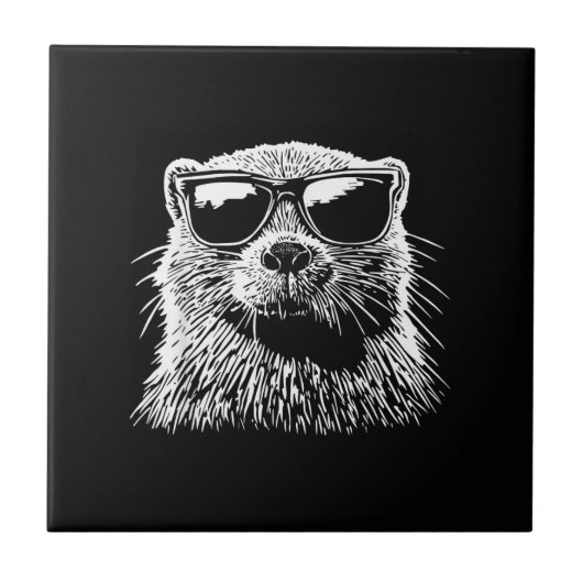 Biber-Sonnenbrille Fliese (Vorderseite)