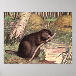Biber von Louis Sargent, Vintage wild lebende Tier Poster