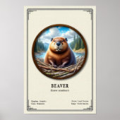 Biber Zoologie Serie Poster (Vorne)
