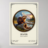 Biber-Zoologie-Serie Poster (Vorne)