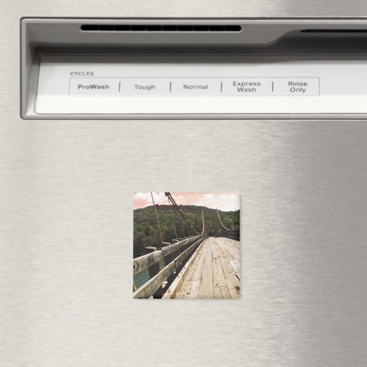 Biberbrücke Magnet (In Situ (Geschirrspüler))