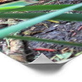 Biberfamilie Poster (Ecke)