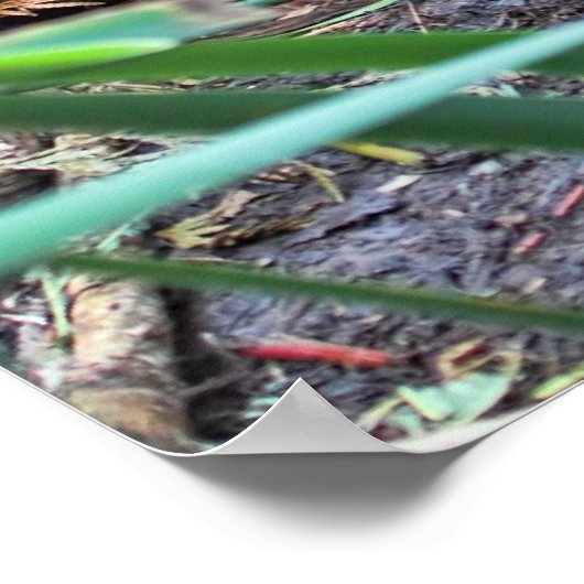 Biberfamilie Poster (Ecke)