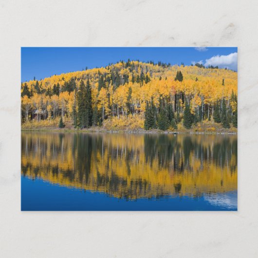 Bibersee im Herbst Postkarte (Vorderseite)