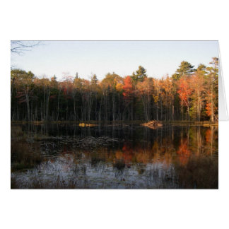 Biberteich von Hampshire im Herbst