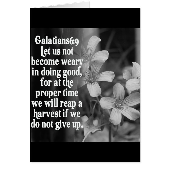 BIBLE SCRIPTURE GALATIANS 6:9 (Vorne)