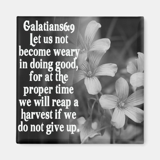 BIBLE SCRIPTURE GALATIANS 6:9 MAGNET (Vorne)