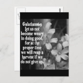BIBLE SCRIPTURE GALATIANS 6:9 POSTKARTE (Vorne/Hinten)
