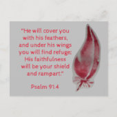 Bible Verse Postcard Psalm 91:4 Feathers Postkarte (Vorderseite)