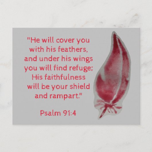 Bible Verse Postcard Psalm 91:4 Feathers Postkarte (Vorderseite)