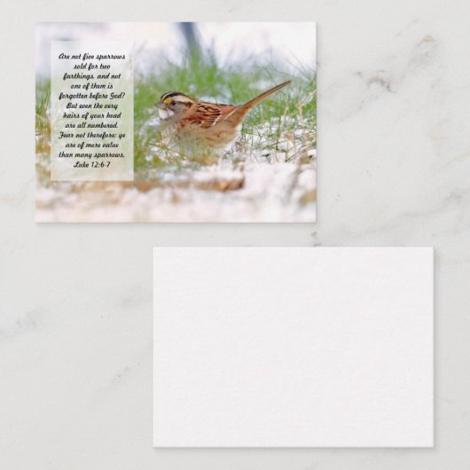 Bible Verse Scripting Note Card Sparrow KJV Mitteilungskarte (Vorne/Hinten)