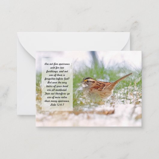Bible Verse Scripting Note Card Sparrow KJV Mitteilungskarte (Vorderseite)