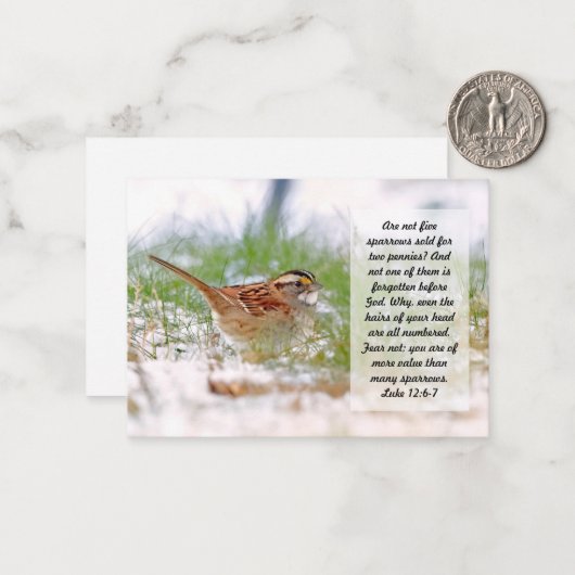 Bible Verse Scripting Note Card Sparrow Religion Mitteilungskarte (Vorderseite/Rückseite Beispiel)