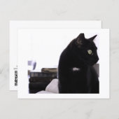 Bibles and Black Cat Postcard Print by JH Thornton Postkarte (Vorne/Hinten)
