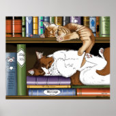 Bibliothek für Katzen buchen Poster (Vorne)