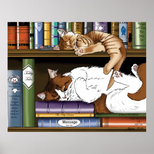 Bibliothek für Katzen buchen Poster (Vorne)