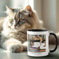 Bibliothek für Katzen buchen
