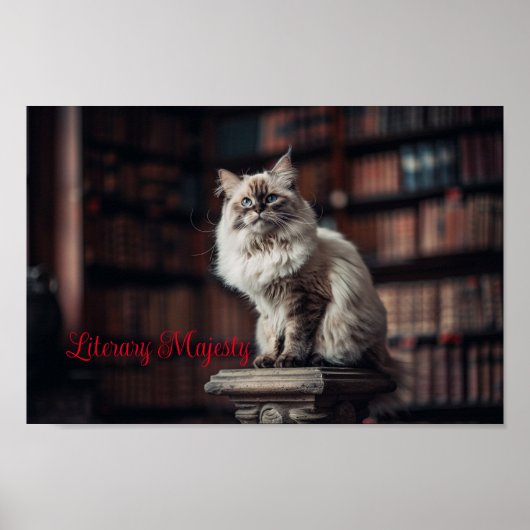 Bibliothek Majestät: Regal Ragdoll Cat Poster (Vorne)