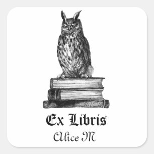 Bibliothek Owl ex libris Quadratischer Aufkleber