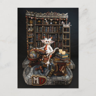BibliothekDrachenpostkarte Postkarte