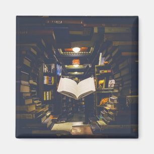 Bibliotheksbücher - Bücherregale im offenen Buch l Magnet