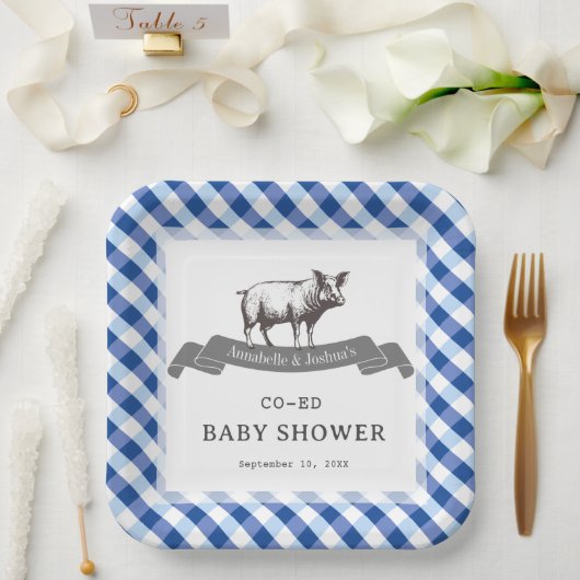 Bibs & Ribs BBQ Rustic Navy Gingham Babyparty Pappteller (Hochzeit)