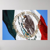 Bicentenario y Centenario Celebracion Poster (Vorne)